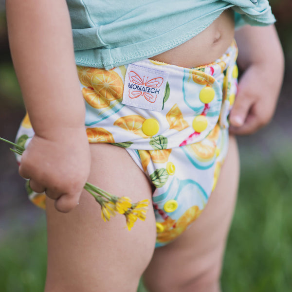 Classic Reusable Cloth Nappy 1.0 | Lemon Squeezy - Monarch