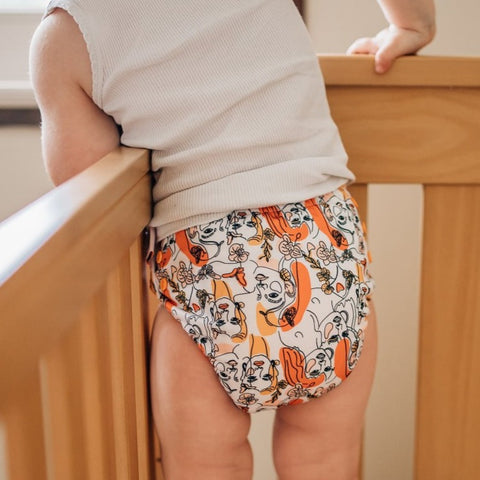 Reusable Toddler pull-up training pants