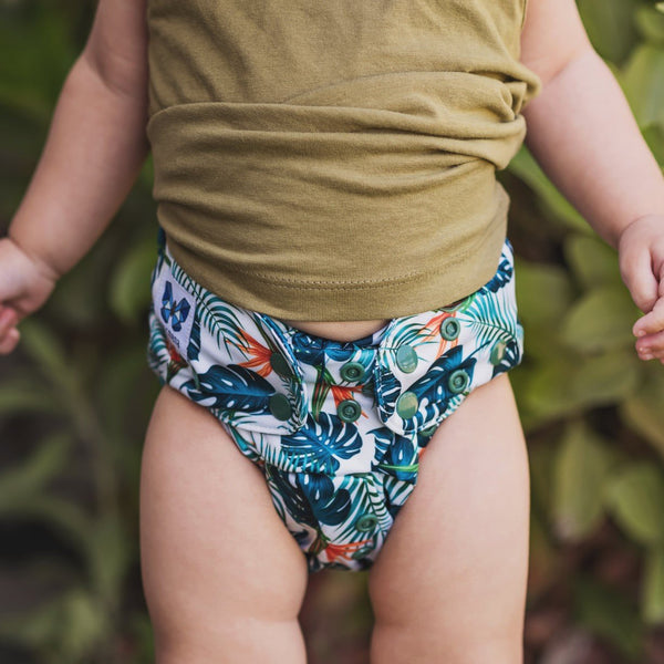 Alcmena | V1.5 Reusable Pocket Nappy | Fern Down For What - Monarch