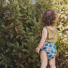Alcmena | V1.5 Reusable Pocket Nappy | Fern Down For What - Monarch